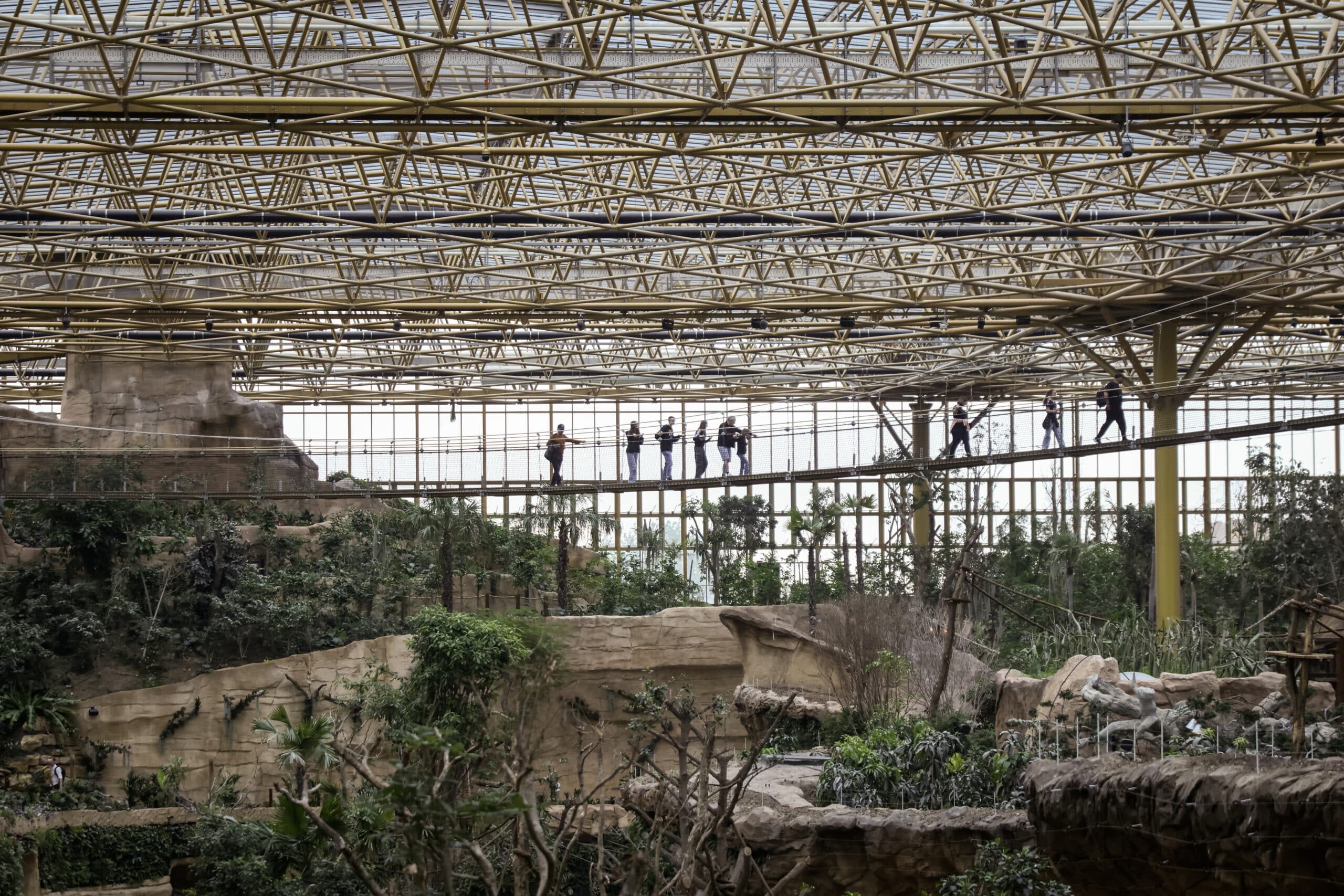 620 km de câbles pour la plus grande serre tropicale du monde ! 7