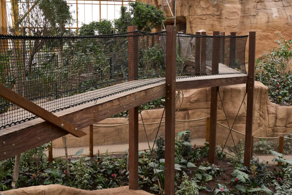 Un chantier d’une intensité inédite pour une ambiance forestière 5