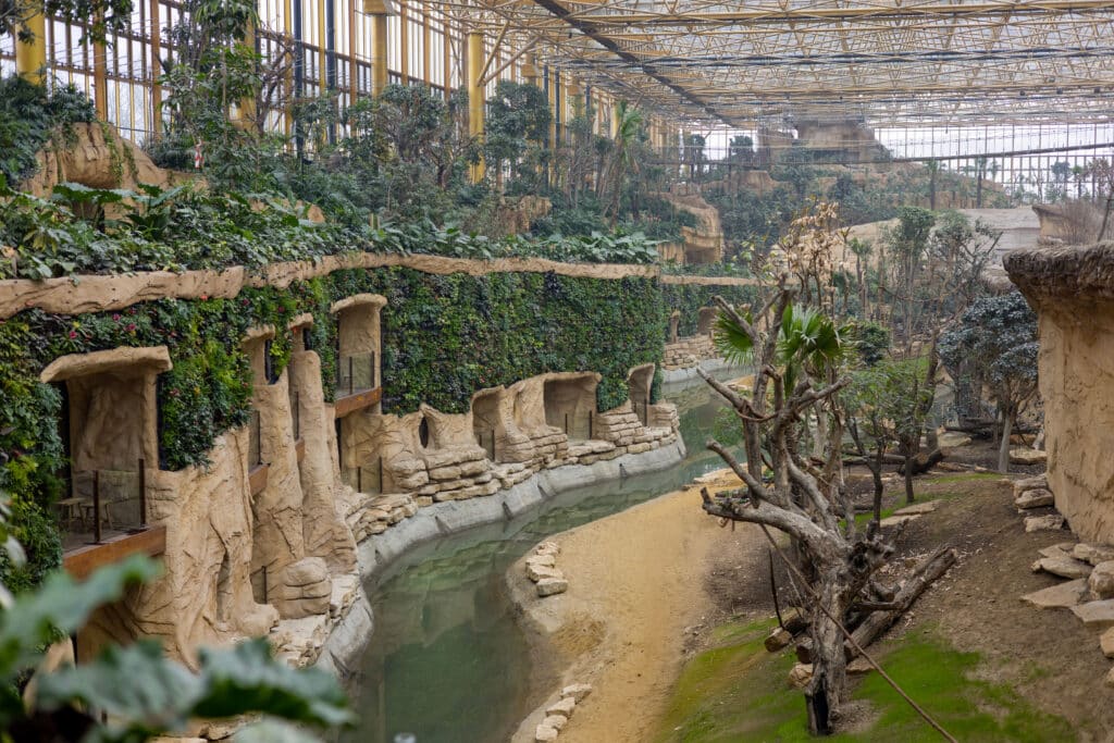 Développement durable et mixité au programme du plus grand écosystème zoologique couvert du monde 3