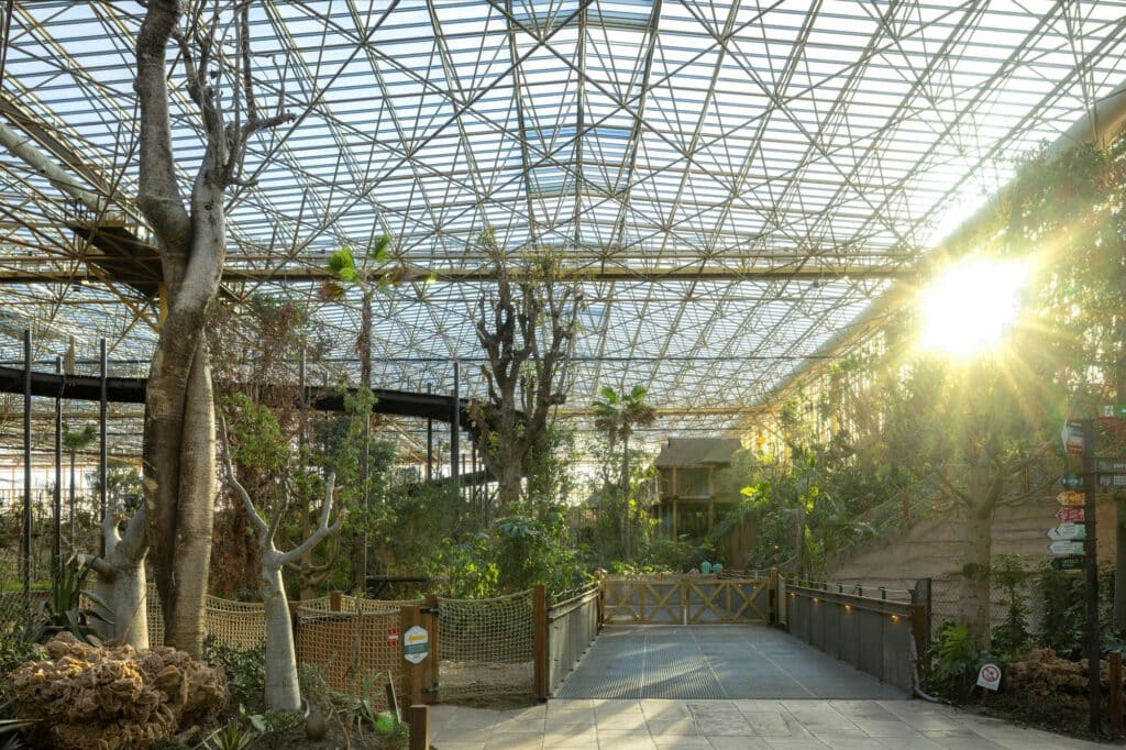 Une verrière unique pour la plus grande serre tropicale au monde 4