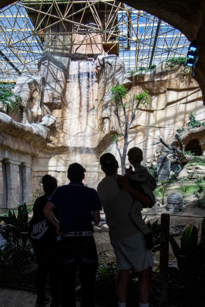 Une verrière unique pour la plus grande serre tropicale au monde 2