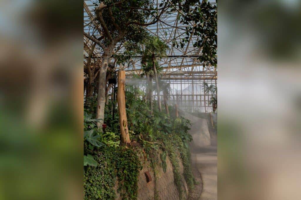 Un rêve d’ingénieur, pour un jardin extraordinaire  4