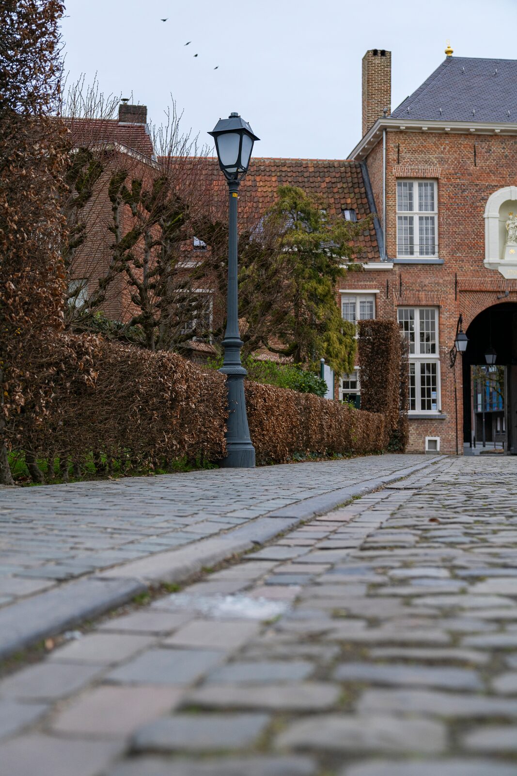Un nouvel éclairage préserve le cachet historique du béguinage de Turnhout 4